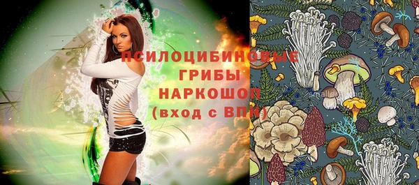 трава Абаза