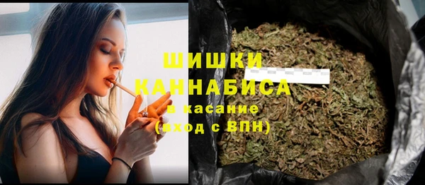 крисы Ростов