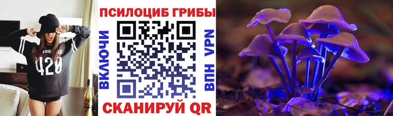 сколько стоит  Советск  Галлюциногенные грибы MAGIC MUSHROOMS 
